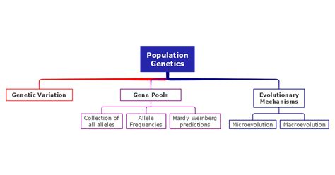 Biology Concept Map Complete Guide With 30 Examples Edrawmind