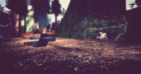 The Second Life Tourist: Duet