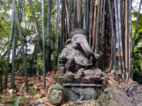 premium photo statue  trees  forest