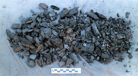 Review Of Cowboy Hardwood Lump Charcoal Naked Whiz Ceramic Charcoal Cooking