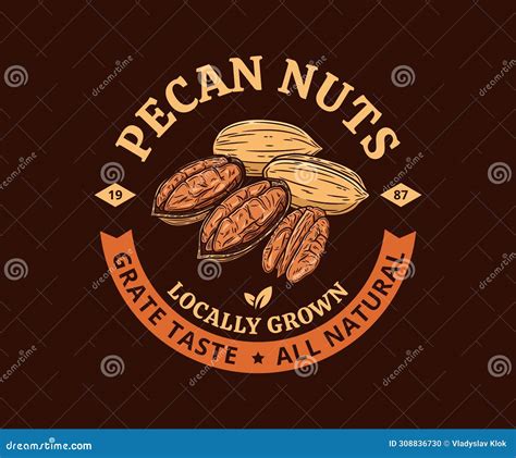 Vector Pecan Nut Logo Stock Vector Illustration Of Snack 308836730