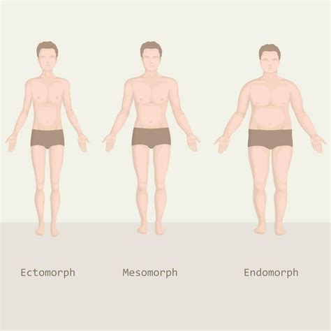 how to know which body type you are