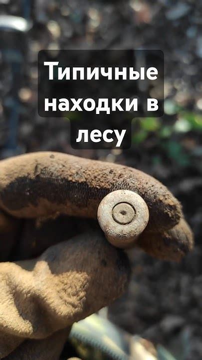 Гильза П 25. Коп в лесу. Treasure hunting with a metal detector #shorts ...