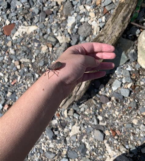 Final, fateful seconds : r/philadelphia