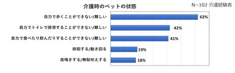 高まるペットの健康管理意識！定期健診は4割強に【ニュース】 【公式通販】無添加ドッグフード・キャットフード「ブッチ・ジャパン」