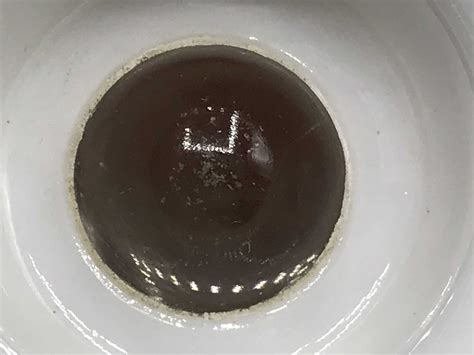 Antique Small Antique Japanese Eggshell Porcelain Erotic Nude Lady Dragon Bowl Antiques Arena