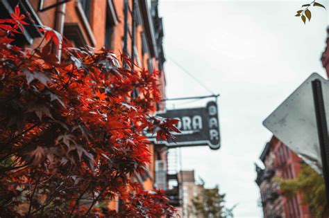 The Sex And The City Filming Locations In New York Ny Art Life