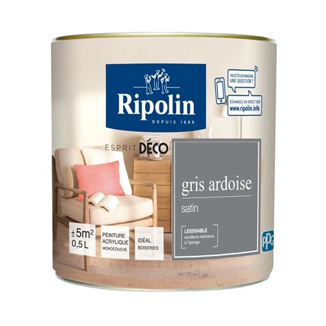 Peinture RIPOLIN Murs Boiseries Gris Ardoise Satin 0 5L Bricorama