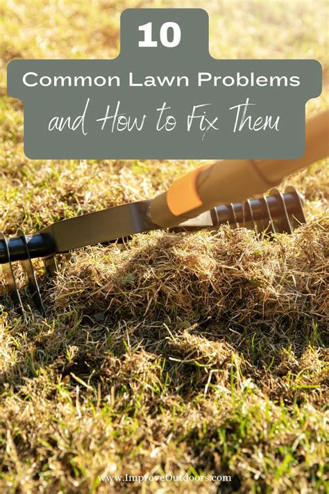 10 Common Lawn Problems And How To Fix Them Expertly Improve Outdoors