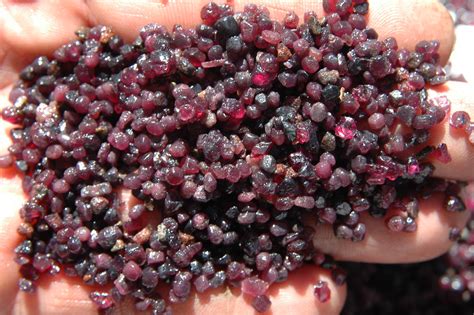 Pick Thru Emerald Creek Idaho Garnets Rock Tumbling Hobby