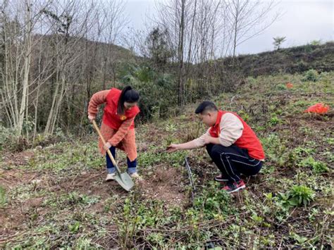 春风拂沃野，植绿正当时——眉山市洪雅县洪川镇开展学雷锋义务植树活动 Isenlincn