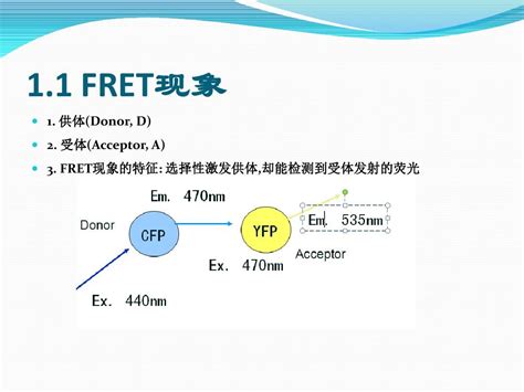 荧光共振能量转移 PPT课件 word文档在线阅读与下载 免费文档