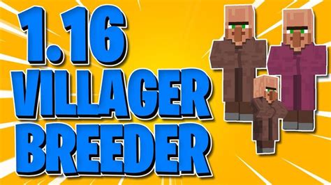 Villager Breeder 1.16 Tutorial | Breeders, Tutorial, Village