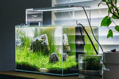 Best Nano Aquarium Tank