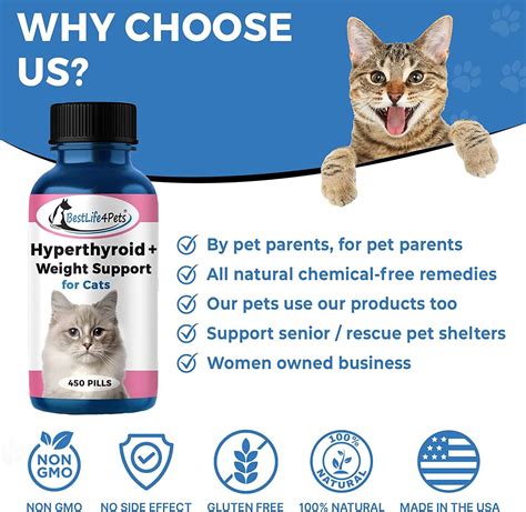 Hyperthyroidism In Cats Hair Loss