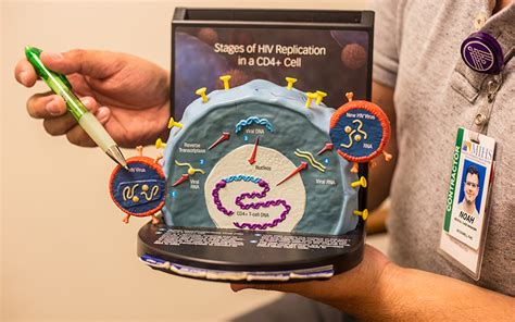 Lack Of Inclusive Sex Education In Arizona May Cause Rise In HIV AIDS Diagnoses Cronkite News