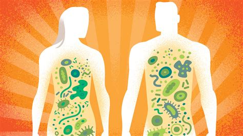 Unlocking the Secrets of the Microbiome - The New York Times