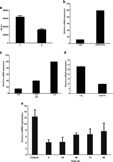 In Vitro Kinase Assay Of PknJ A In Presence Of MBP 1 And