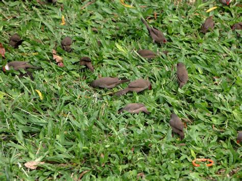 Koolau Range - Hawaii Travel Guide