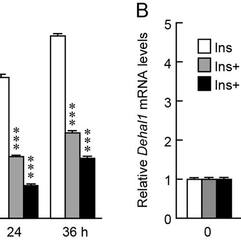 MMI And PTU Differently Modulate Dehal1 MRNA Expression Induced By TSH