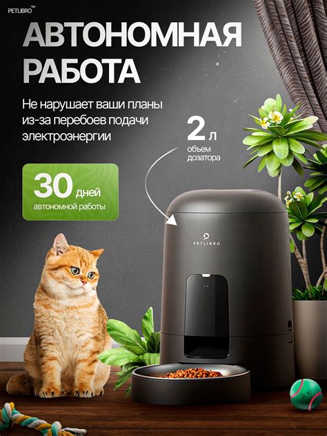 Дозатор корма | Typographic logo design, Typographic logo, Typographic