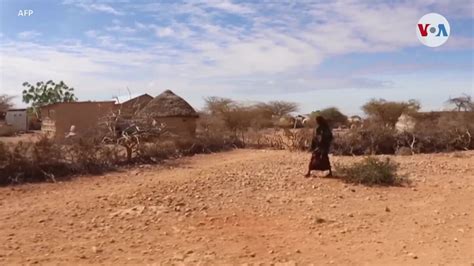 FAO más de millones de personas pasan hambre en América Latina y el Caribe