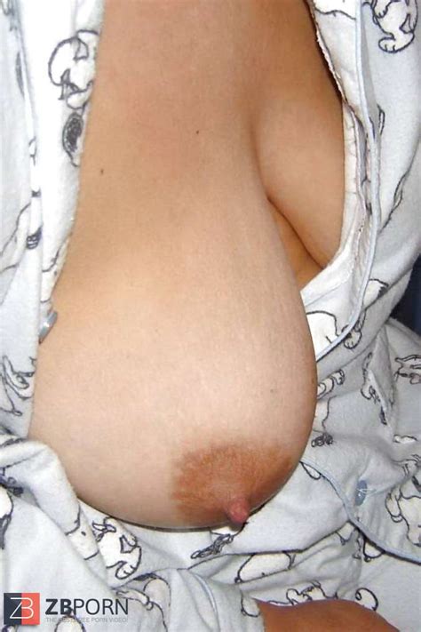 Webtastic Titties Vol ZB Porn