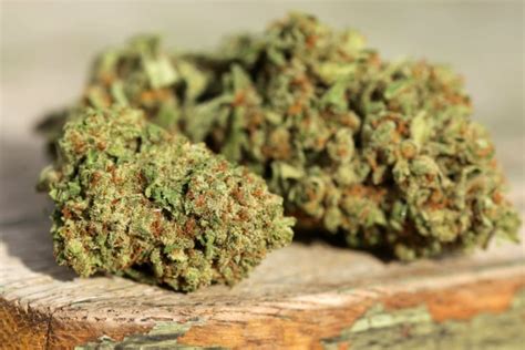 The Best High CBD Cannabis Strains | Mission Dispensaries