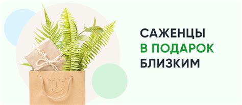 Саженцы и растения почтой или доставкой СДЭК | Интернет-магазин рассады ...