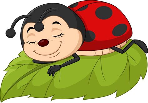 Joaninha Desenho Animado - joaninha de desenho animado dormindo na folha 5158035 Vetor no Vecteezy