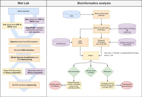 Schematic representation of steps involved in 1mL and 5mL CMg ...