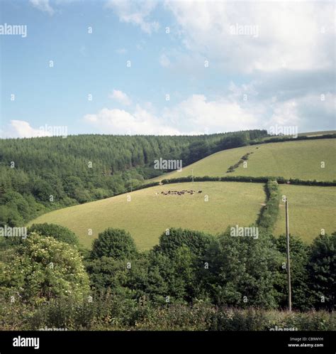 north devon countryside uk stock photo alamy