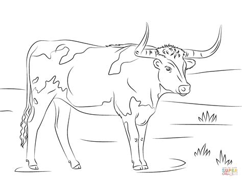 Texas Longhorn Bevo Coloring Coloring Pages