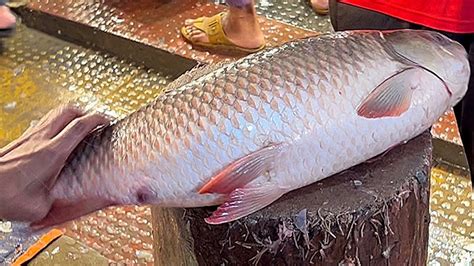 Big Rohu Fish Skinning Chopping By Expert Fish Cutter Fish Cutting