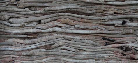 Rawhide (wet salted hides) - Velmart d.o.o.