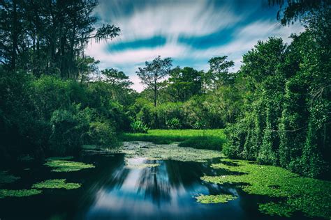 Beautiful Places In Florida The Sunshine Florida Place To Visit United
