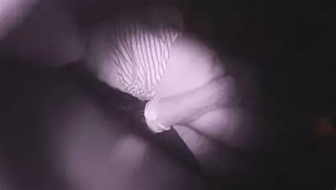 Free Shemale Pet Porn Videos Xhamster