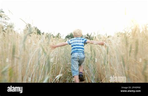 Boys Running Through Field Stock Videos And Footage Hd And 4k Video