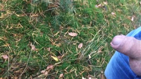 A Romantic Walk In The Forrest Gay Amateur Amateur Porn Feat Davidedpxxx By FapHouse XHamster