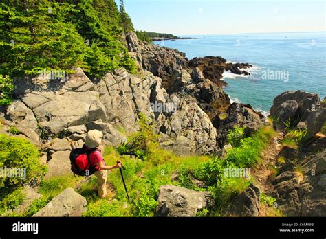 Cutler Coastal Trail Bold Coast Preserve Cutler Maine Usa Stock