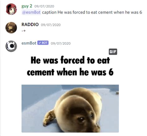 forced  eat cement     gif origin crying seal