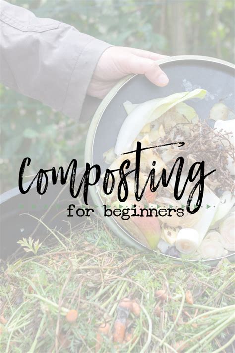 Composting for Beginners - Roost + Restore