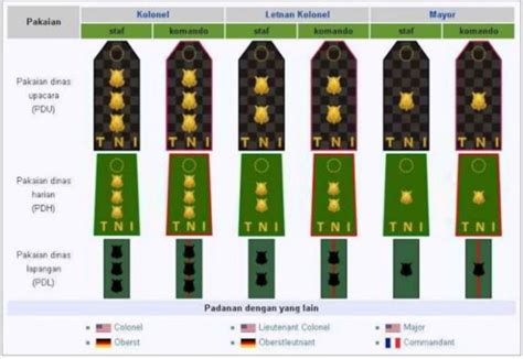 7 Urutan Pangkat Tni Ad Beserta Lambang Dan Artinya Lengkap Bukubiruku