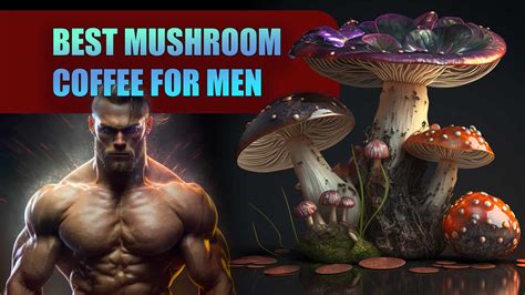 Best Mushroom Coffee For Men Top Mushroom Coffees For The Ultimate