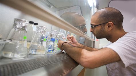 quanto ganha tecnico analises clinicas | Indeed.com Brasil