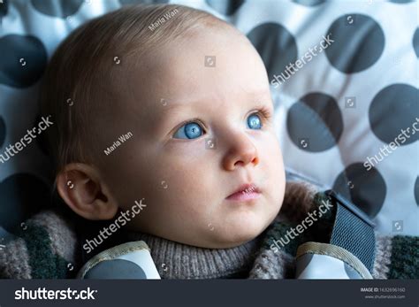 Serious Thoughtful Blue Eyed Baby Boy Stock Photo 1632696160 Shutterstock