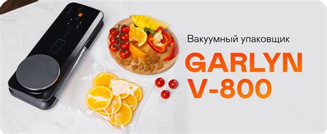 Вакуумный упаковщик GARLYN V-800 купить в официальном магазине GARLYN ...