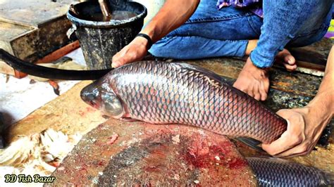 Excellent Fish Cutting Big Rohu Fish Cutting And Chopping By Expert