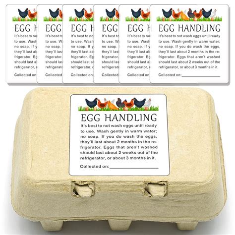 Maosh Farm Fresh Egg Care Stickers Fresh Egg Care Stickers | Desertcart ...