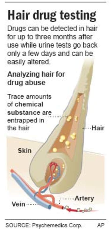 How Far Back Do Hair Follicle Drug Tests Clearance